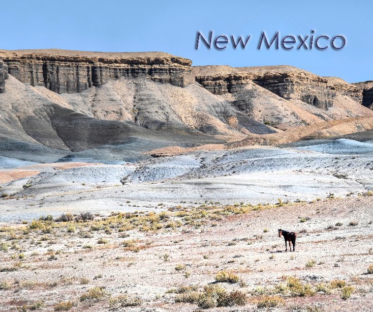 New Mexico nach Alan Brown anzeigen