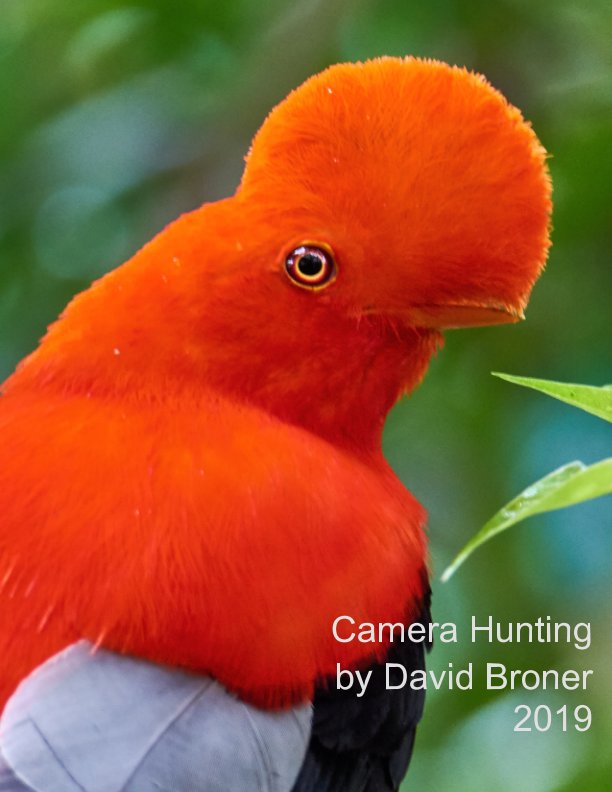 View Camera Hunting by David Broner Alvarez