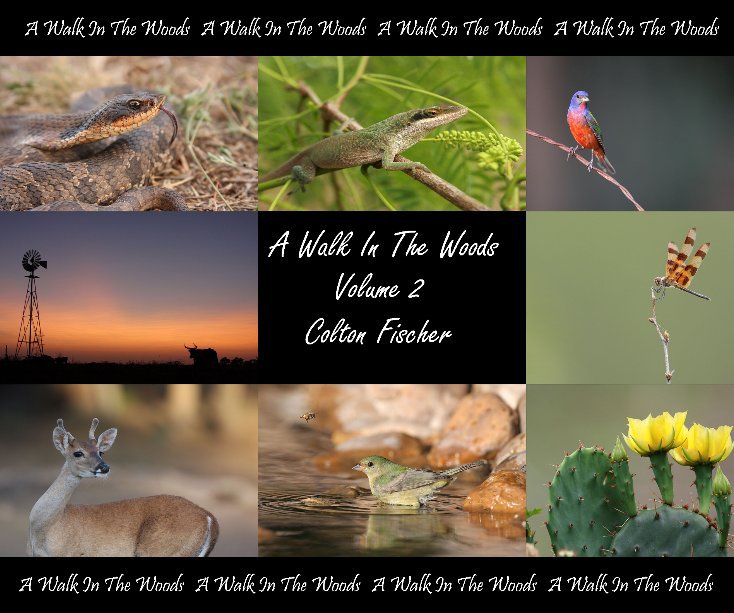 View A Walk In The Woods Volume 2 by Colton Fischer