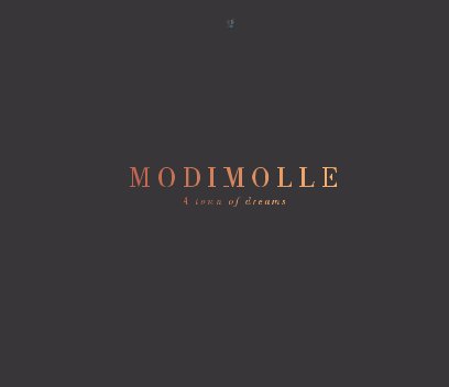 Modimolle: A Town of Dreams book cover