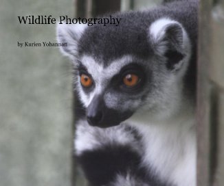 Wildlife Photography book cover