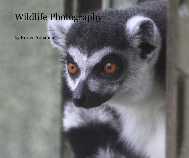 Ver Wildlife Photography por Kurien Yohannan