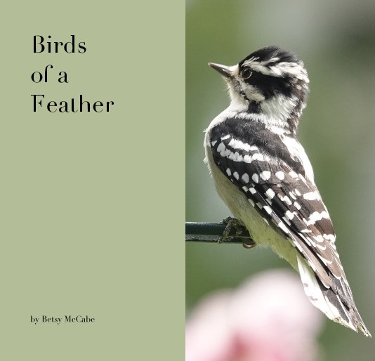 Ver Birds of a Feather por Betsy McCabe