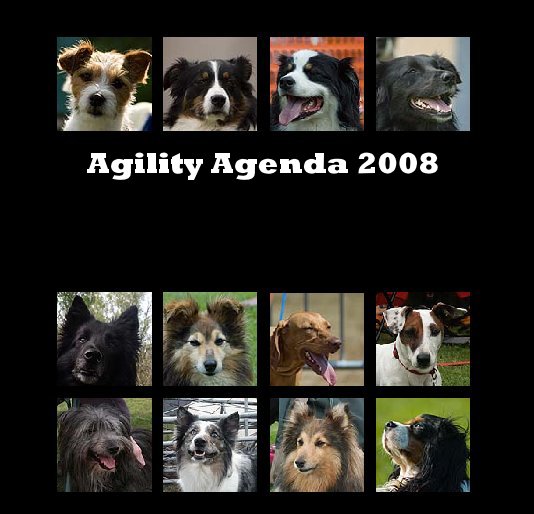 Ver Agility Agenda 2008 por MarcGemis