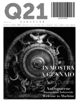 Q21/zero book cover