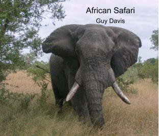 African Safari book cover