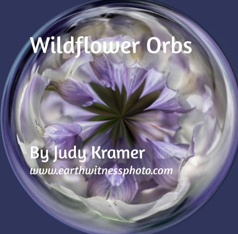 View Wildflower Orbs by Judy Kramer