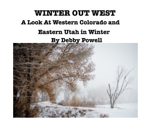 Winter Out West book cover