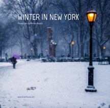 Winter in New York book cover