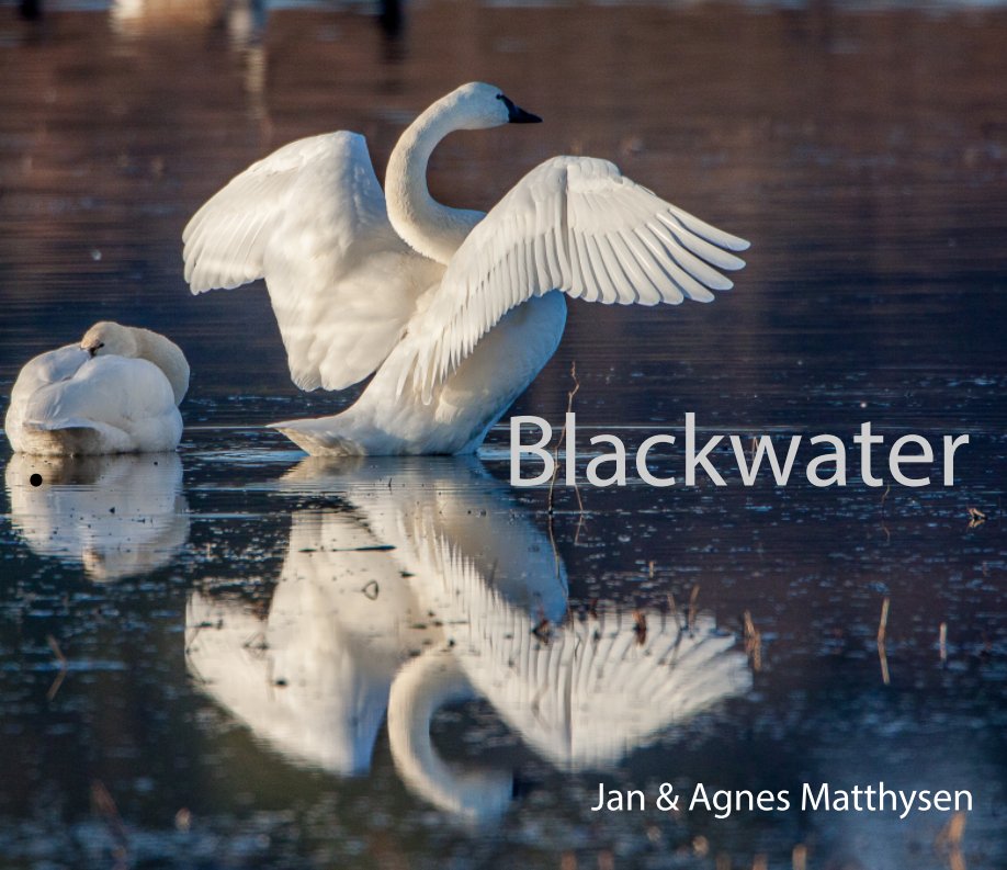 Visualizza Blackwater di Jan and Agnes Matthysen