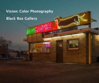 Vision: Color Photography book cover