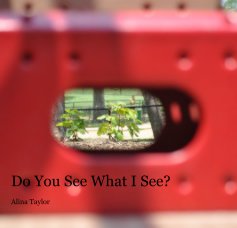 Do You See What I See? Alina Taylor book cover