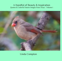 A Handful of Beauty and Inspiration - Quotes and Colorful Nature Images from Texas Volume I book cover