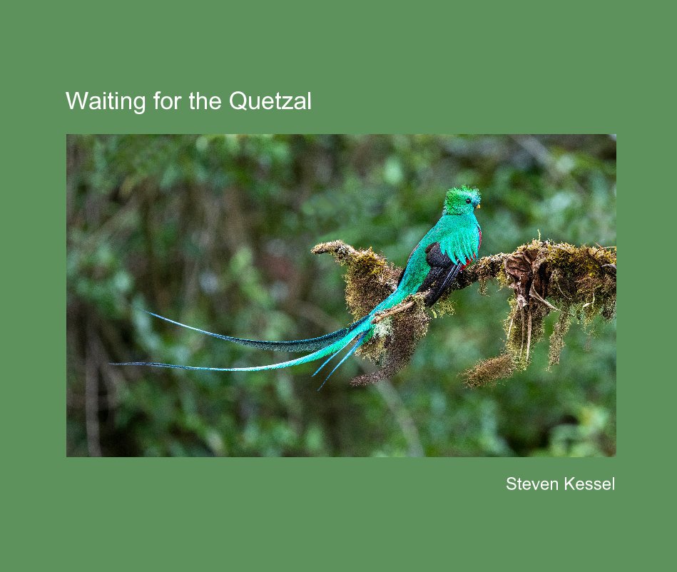 Waiting for the Quetzal nach Steven Kessel anzeigen