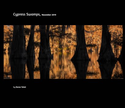 Cypress Swamps, November 2019 book cover
