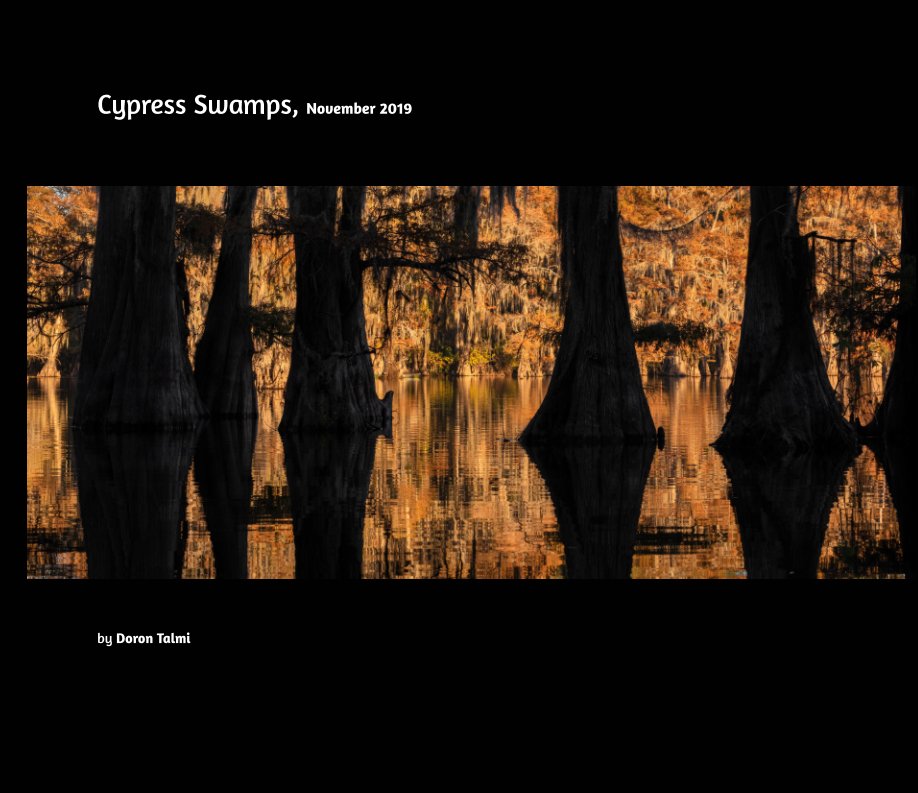 Ver Cypress Swamps, November 2019 por Doron Talmi