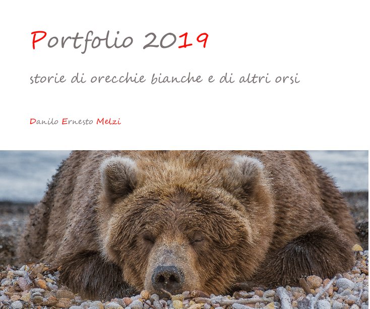 Portfolio 2019 nach Danilo Ernesto Melzi anzeigen