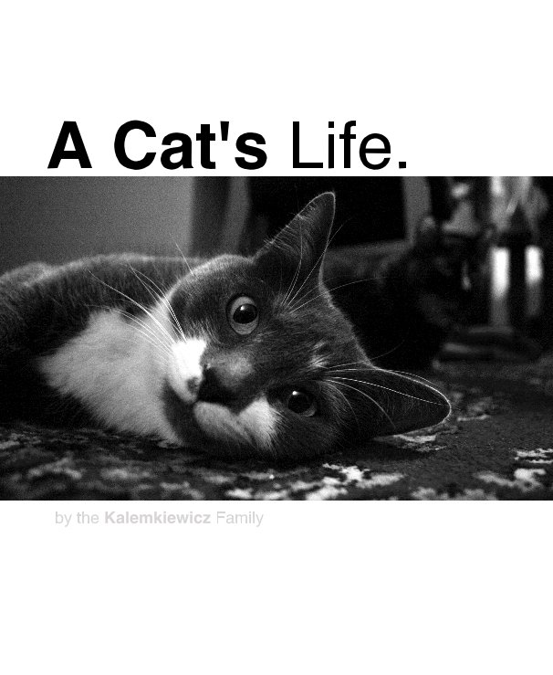 Ver A Cat's Life. por by  Kalemkiewicz