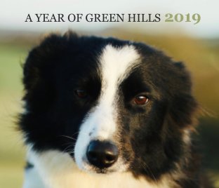 A Year of Green Hills 2019 book cover