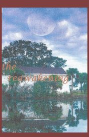 Journey 3016 - Chapter 11 The reawakening book cover