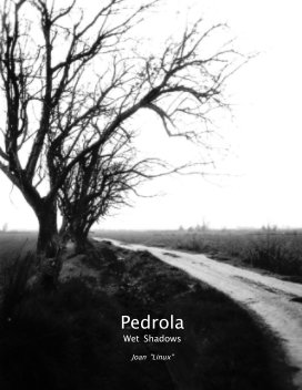 Pedrola book cover