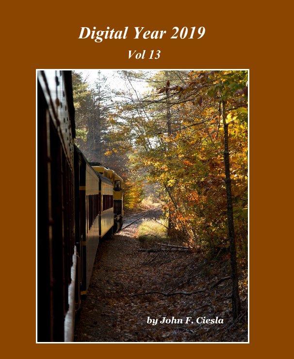 View Digital Year 2019 Vol 13 by John F. Ciesla