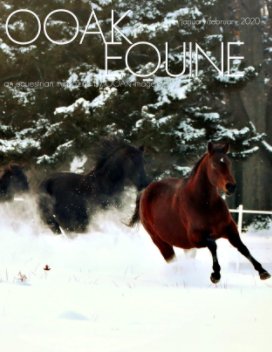 OOAK EQUINE January/February 2020 Issue book cover