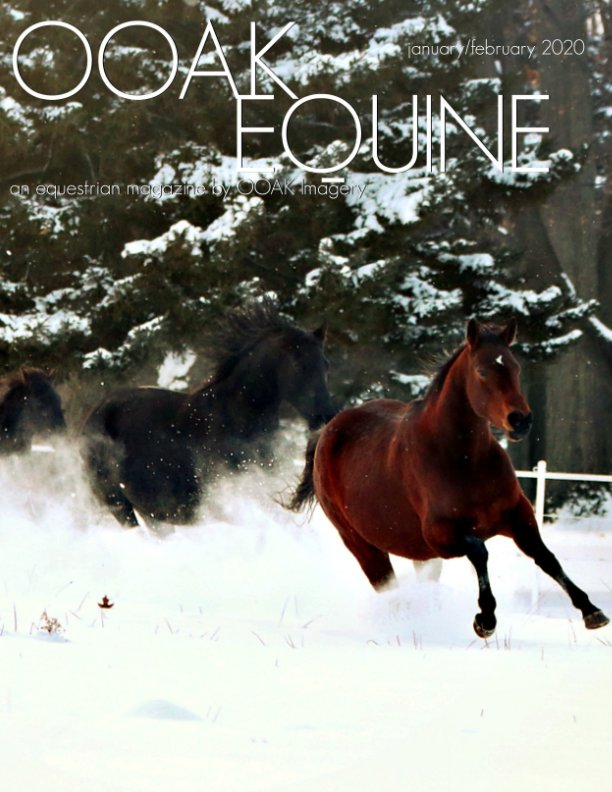 View OOAK EQUINE January/February 2020 Issue by Rae Lombino, Robin Lombino