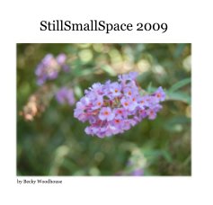 StillSmallSpace 2009 book cover