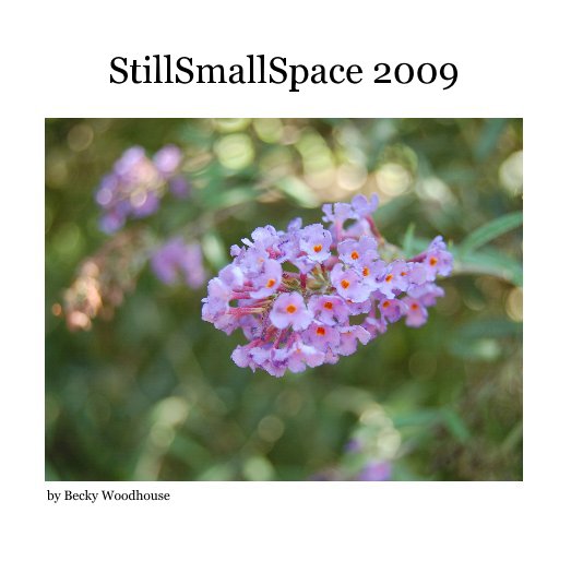 Ver StillSmallSpace 2009 por Becky Woodhouse