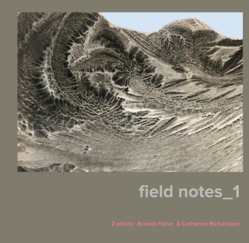 View field notes_1 by B Holve and C Richardson
