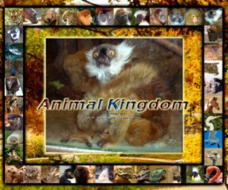 ANIMAL KINGDOM book cover