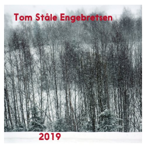 Bekijk 2019 op Tom Ståle Engebretsen