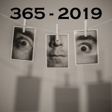 365 - 2019 book cover