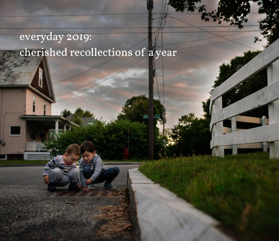 Ver Everyday 2019: Cherished Recollections of a Year por Grace Baltic