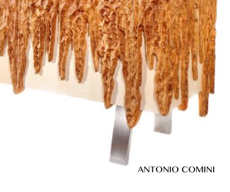 Antonio Comini, Designer di Mobili in Legno book cover