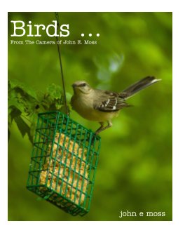 Birds ... book cover