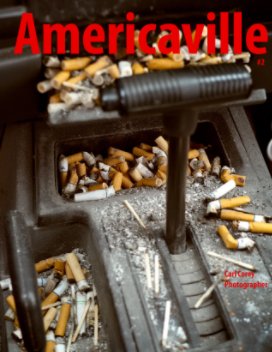 Americaville #2 book cover