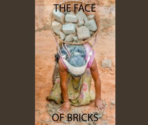 The Face Of Bricks book cover