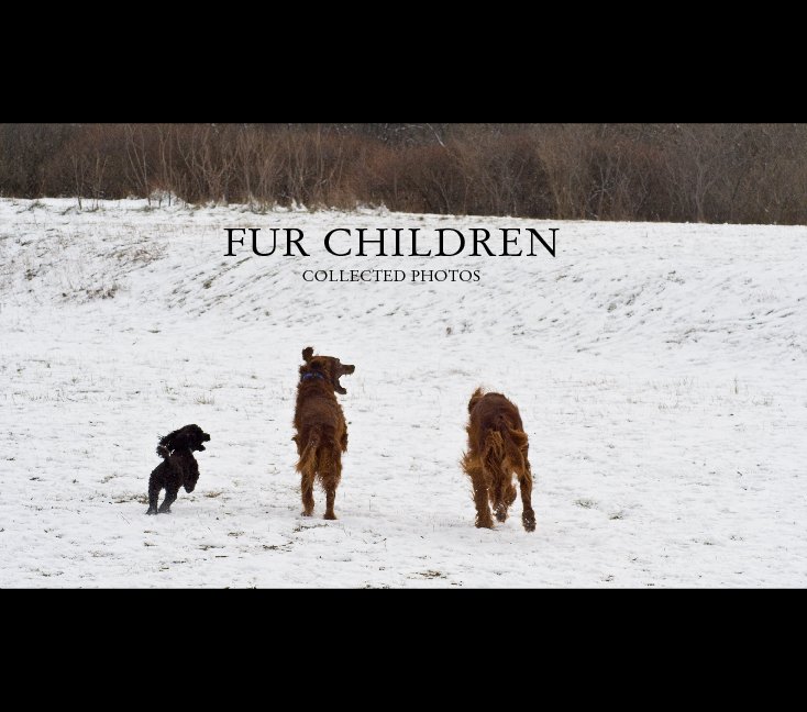 Visualizza Fur Children di Dave Kellam