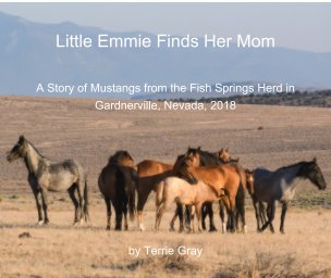 Little Emmie Finds Her Mom book cover
