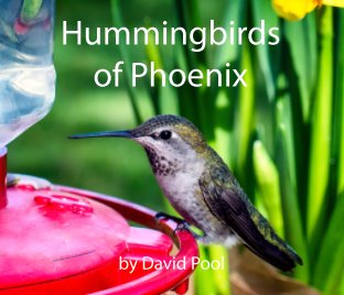 Hummingbirds of Phoenix book cover