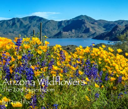 Arizona Wildflowers book cover