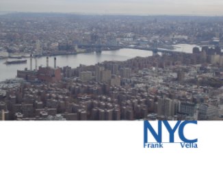NYC book cover