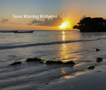 Michamvi Beach Sunsets book cover