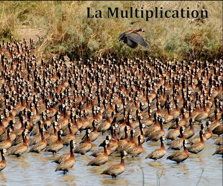 View La multiplication by zucchet