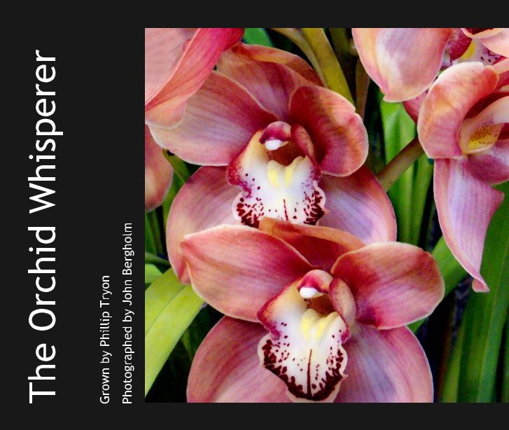 Visualizza The Orchid Whisperer di San Francisco Photographer