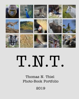 TNT Photo-Book Portfolio 2019 book cover
