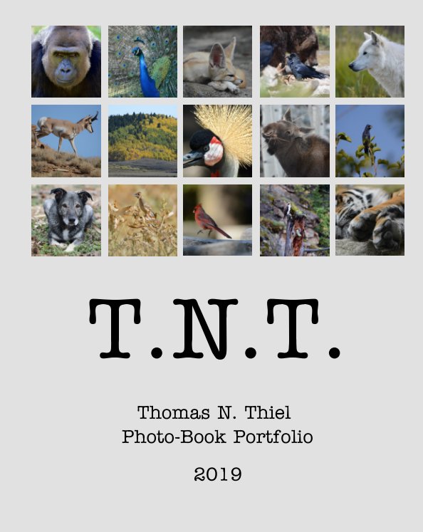 View TNT Photo-Book Portfolio 2019 by Thomas N. Thiel