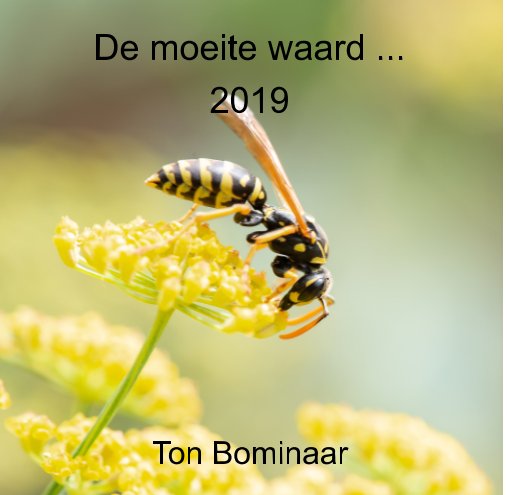 Ver De moeite waard ... 2019 por Ton Bominaar